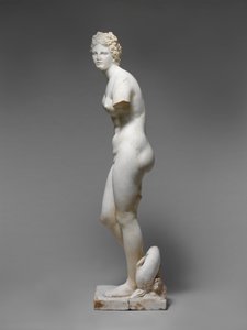 Statue of Aphrodite by Roman Roman