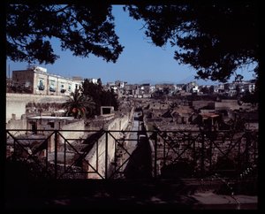 View of Cardo III