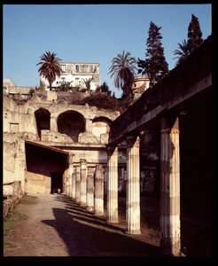 View of the Palestra