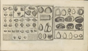 Diamonds, Rubies, and Pearls by Romeyn de Hooghe