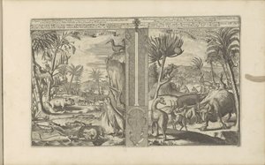 Animals from the West Indies by Romeyn de Hooghe