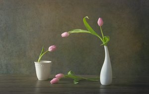 Elegant Pink Tulips Still Life
