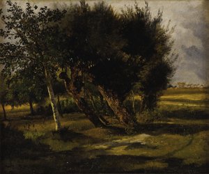 Bouquets of Trees in the Meadow