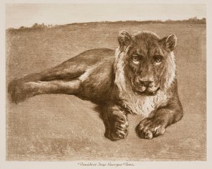 Lion by Rosa Bonheur