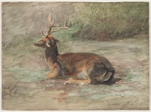 Recumbent Stag, Second Half 19th Century by Rosa Bonheur