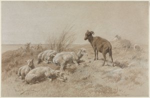 Sheep by Rosa Bonheur
