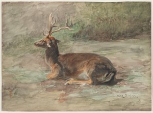 Stag Lying Down by Rosa Bonheur