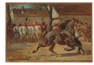Trotting a Horse