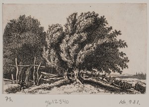 Landscape by Rosalie Holm