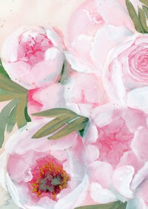Blush Pink Peonies by Rosana Laiz Blursbyai