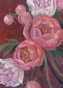 Elegant Pink Peonies by Rosana Laiz Blursbyai