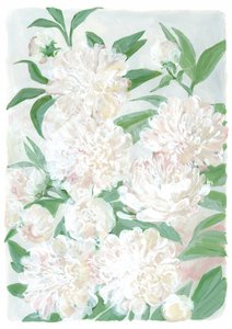 Soft Peony Blooms by Rosana Laiz Blursbyai