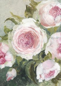 Soft Pink Roses by Rosana Laiz Blursbyai