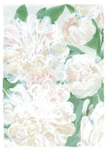 Soft White Peonies by Rosana Laiz Blursbyai