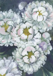 Soft White Peonies by Rosana Laiz Blursbyai