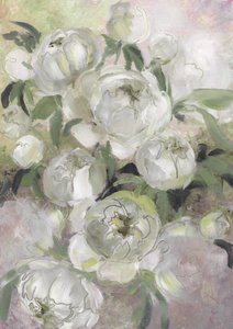 Soft White Peonies by Rosana Laiz Blursbyai