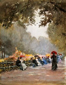 The Row in the Morning