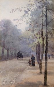 The Tree Lined Avenue