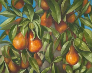 Pears 1