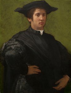Portrait of a Man by Rosso Fiorentino
