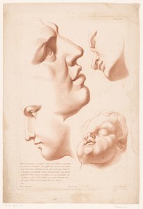Heads of Man, Woman, and Child