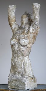 Hermaphrodite