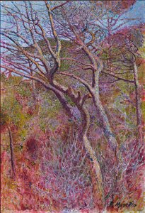 Landscape, Studio by Rubaldo Merello