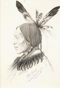 Heu-Topa, Four Horns or Jagoo, The Storyteller, Chief of the Hunkpapa Sioux by Rudolf Cronau