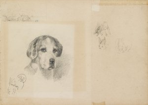Portrait of a dog: Windsor
