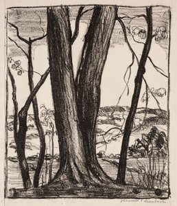 The Hilltop