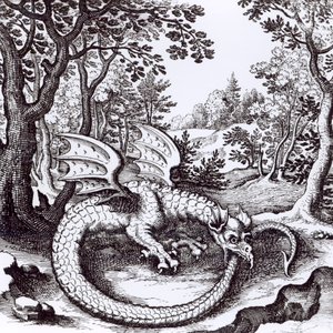 A Dragon in the Forest, from 