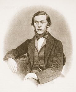 Nikolai Dobrolyubov by Russian School
