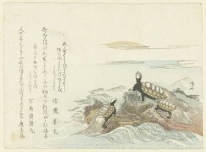 Turtles on a Rock by Ryuryukyo Shinsai