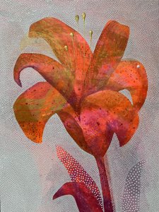 Vibrant Orange Lily by SAN STARLING