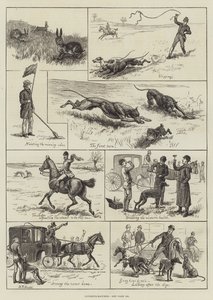 Coursing-Matches by S.T. (after) Dadd