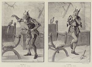 A Fool and His Folly