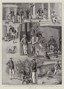 A New Hobby for School-Boys, the Kennel Club at Clayesmore School, Enfield