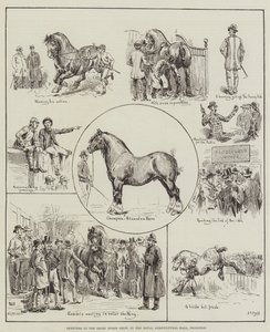 Sketches at the Shire Horse Show, in the Royal Agricultural Hall, Islington by S.T. Dadd