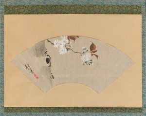 Cherry Blossoms