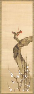 Red and White Plum Blossoms by Sakai Oho