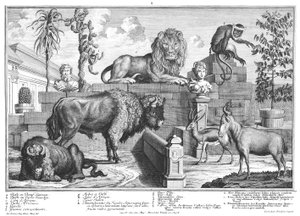 Lion and Pair of Bison