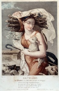 Revolutionary Calendar of October 23: Brumaire: The Sun Enters the Sign of the Scorpion