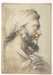 Head of a Bearded Man in Profile to the Right Wearing a Turban by Salvator Rosa