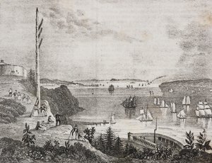 View of New York bay from the telegraph station, United States of America by Salvatore Puglia
