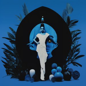 Elegant Blue Vision
