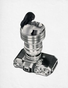 Woman In Camera Lens