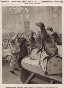 Wounded Soldiers and Sailors Feeding Seals at a Tea-Concert