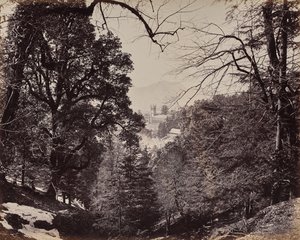Shimla. The Church Through the Trees, from Jakko by Samuel Bourne