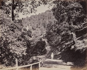 Shimla. The Mall near Rabq Lodge by Samuel Bourne