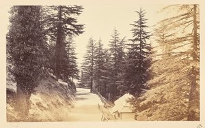Simla; The Mall below the Club by Samuel Bourne